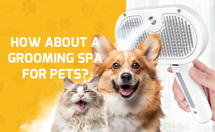 Pet Spray Grooming Comb – De-shedding & Styling Tool for Dogs and Cats