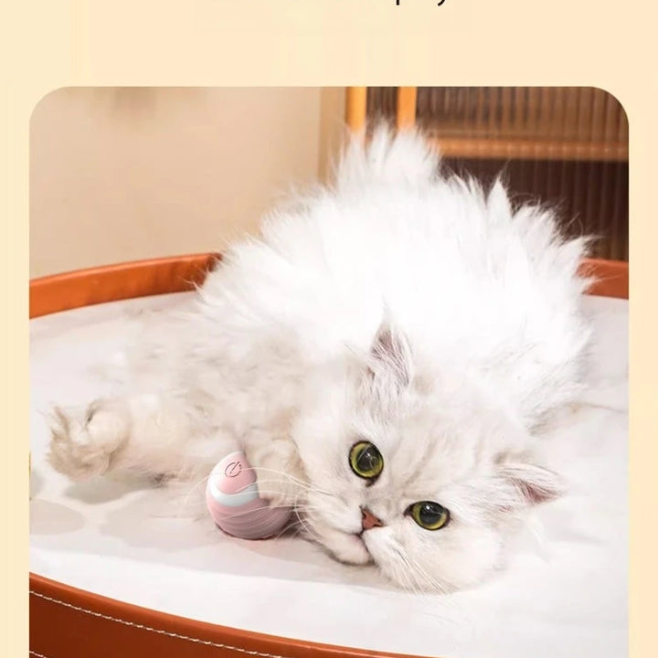 PouncePal Interactive Ball