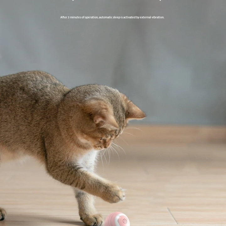 PouncePal Interactive Ball