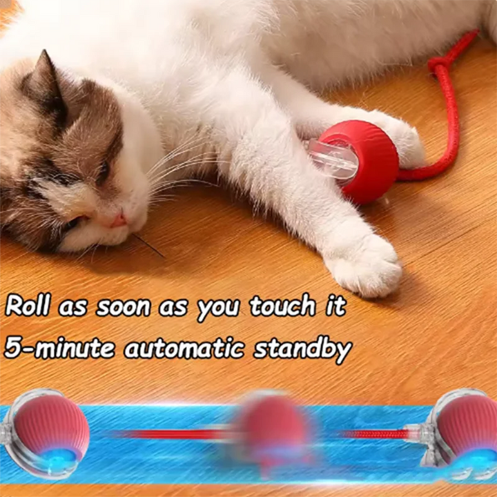 PurrPlay Smart Ball