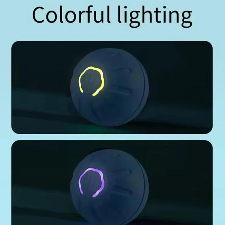 SmartDog Kinetic Orb