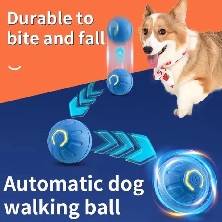 SmartDog Kinetic Orb