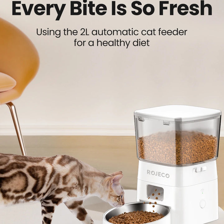 Smart Pet Food Dispenser – Automatic Wi-Fi Feeder for Dogs & Cats