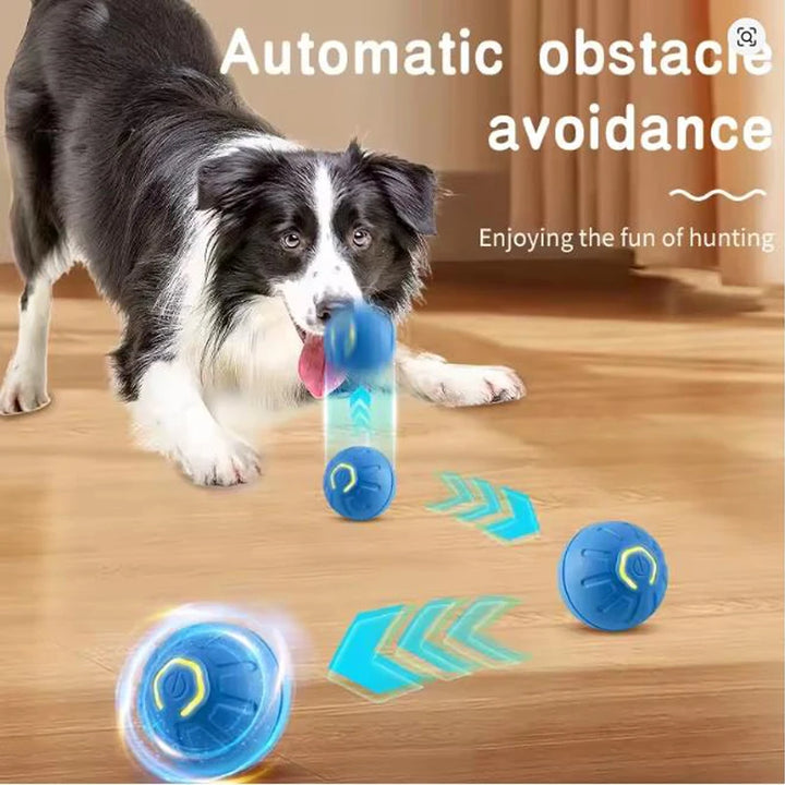 SmartDog Kinetic Orb