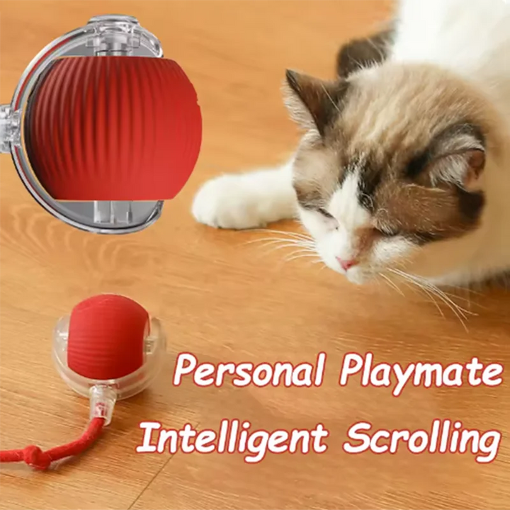 PurrPlay Smart Ball