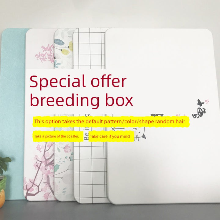 ZenDry Diatomite Bath Mat