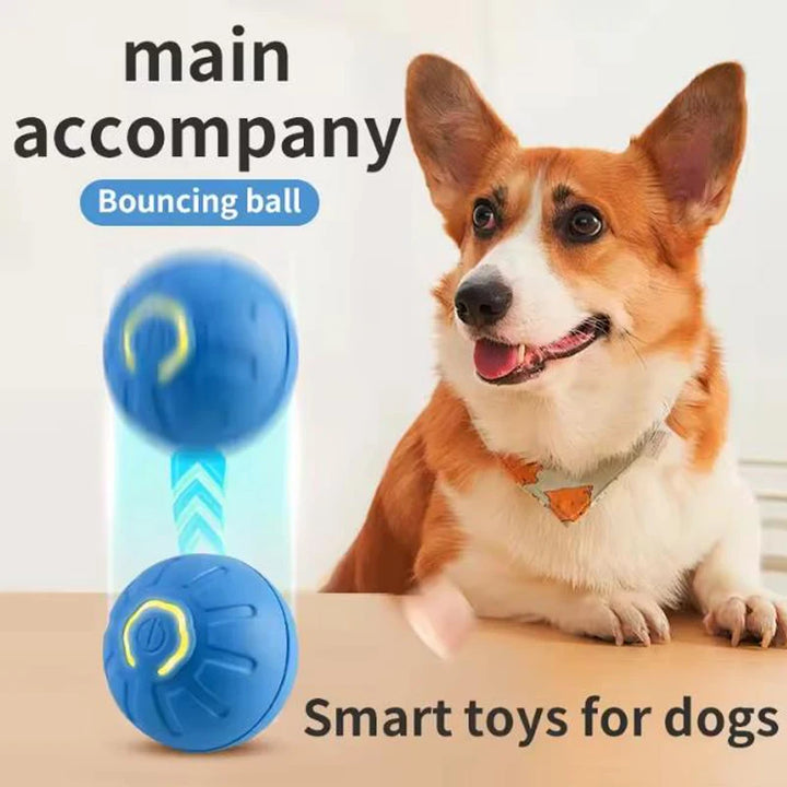SmartDog Kinetic Orb